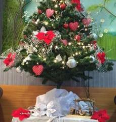 Отель Hotel Adriatica Италия, Риччоне, фото 19