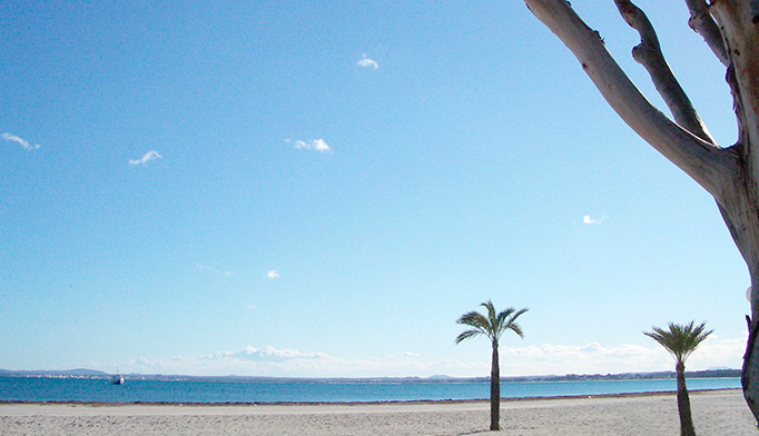 Hotel Apartamentos Ivory Playa
