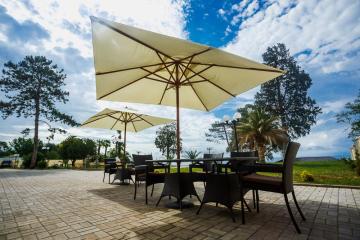 Отель Villa Victoria Абхазия, Гудаута, фото 11