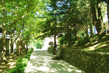 Отель Жемчужина Россия, Туапсе, фото 37