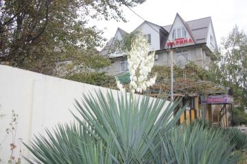 Отель Марина Россия, Лазаревское, фото 13