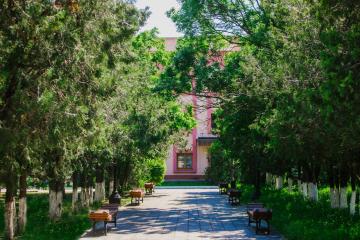 Отель Azimut Здоровье Солнечный санаторий (Кабардинка) Россия, Геленджик, фото 3