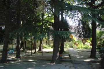 Отель База отдыха Эльбрус Россия, Сочи, фото 11