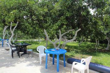 Отель Дивный сад Абхазия, Новый Афон, фото 6