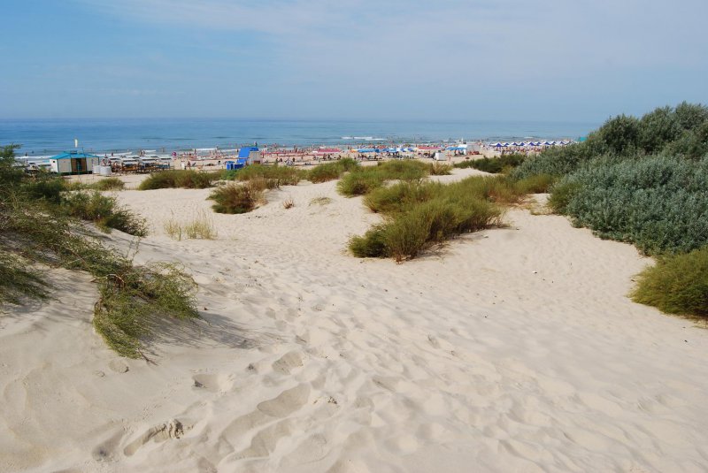 Весна база отдыха