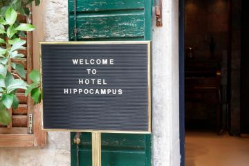 Отель Hippocampus Черногория, Герцегновская ривьера, фото 8