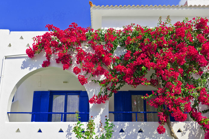Sunrise Village Hotel
