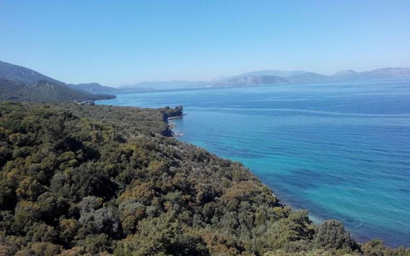 Art Hotel Guzelcamli