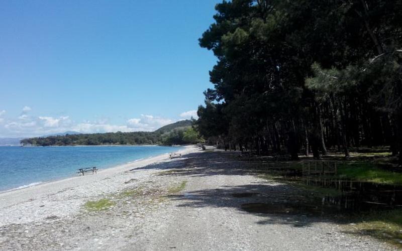 Art Hotel Guzelcamli