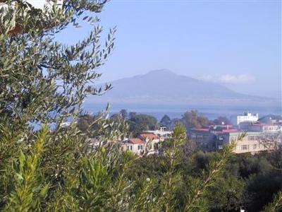Central