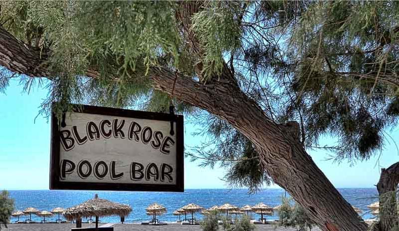 Black Rose Suites