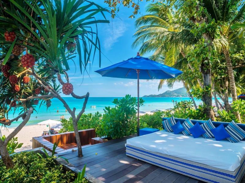 Synergy Samui