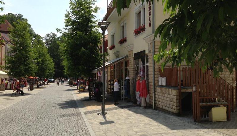 Astoria Heviz Panzio