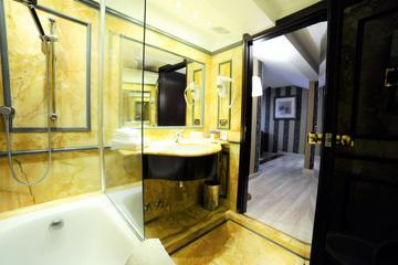 Отель Hotel Pierre Milano Италия, Милан, фото 12