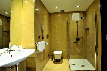 Отель Hotel Pierre Milano Италия, Милан, фото 17