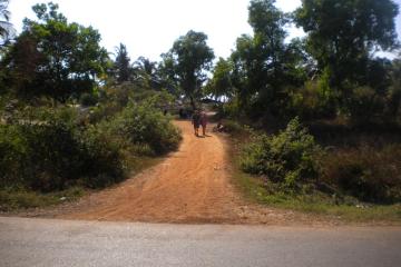 Отель Vincy Beach Resort Индия, Колва, фото 9