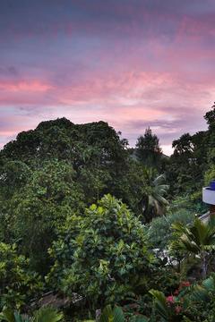 Отель Villas de Jardin Сейшелы, о Маэ, фото 4