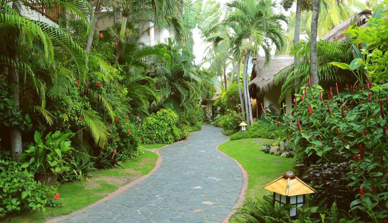 Riverside Bamboo Resort