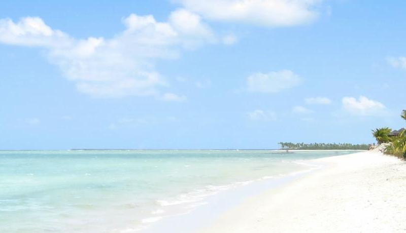 Riverside Bamboo Resort