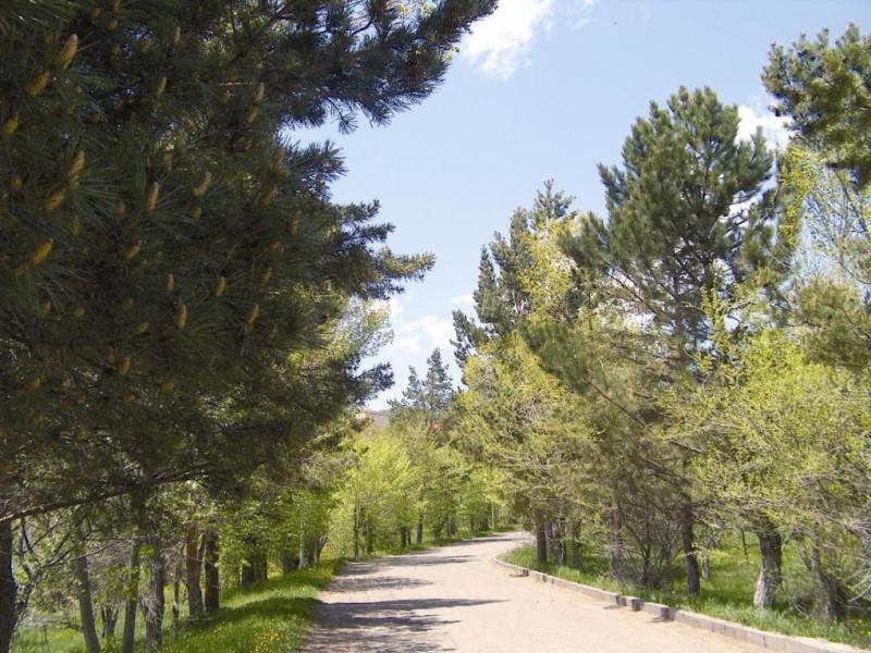 Tsaghkadzor General Sport Complex Hotel