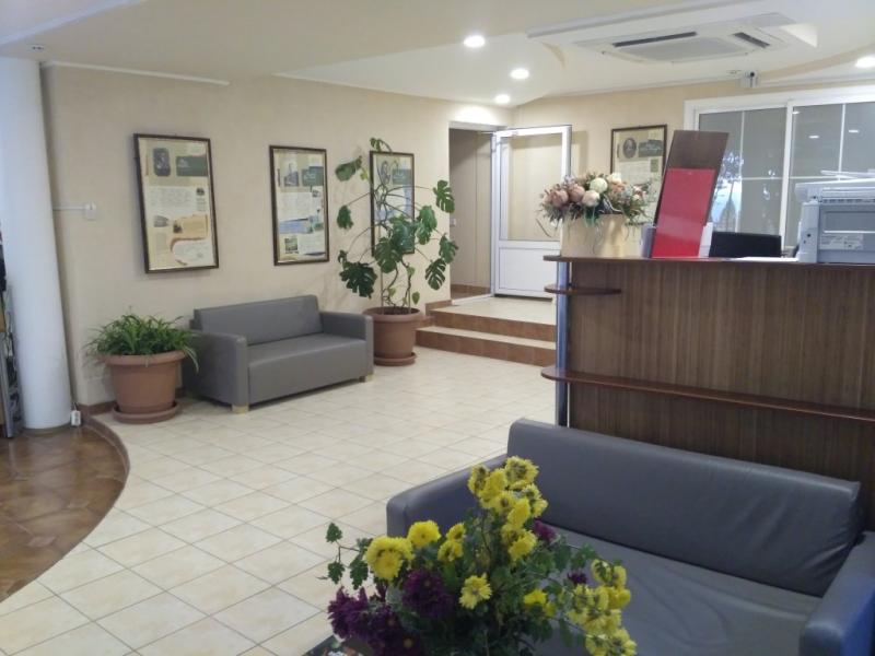 Чайка (ул. Афанасия Никитина)