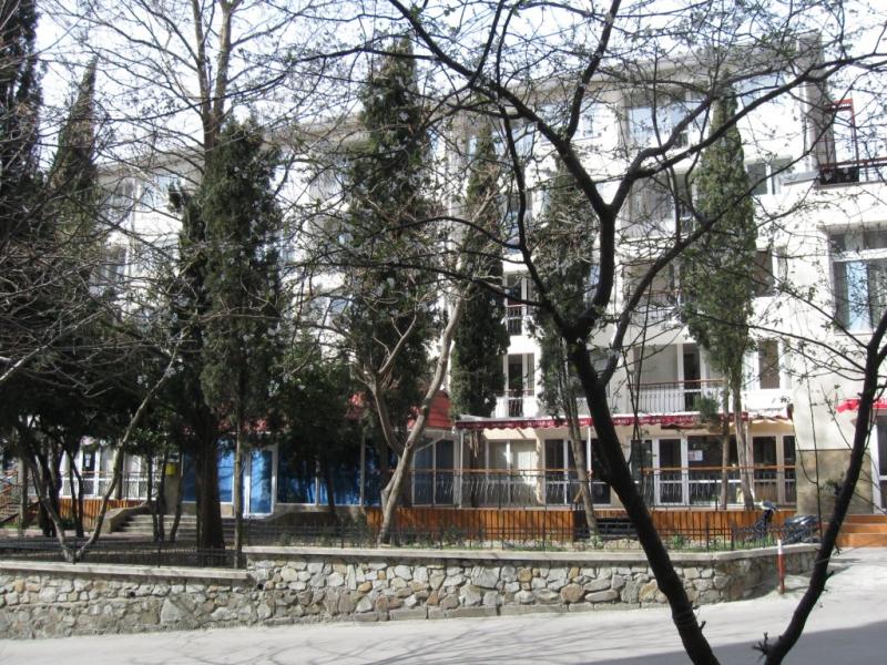 Чайка (ул. Афанасия Никитина)