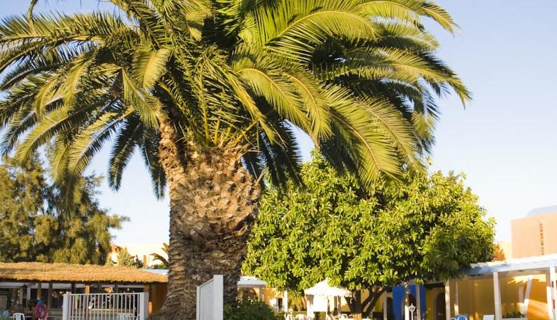 Caribbean World Hammamet Beach