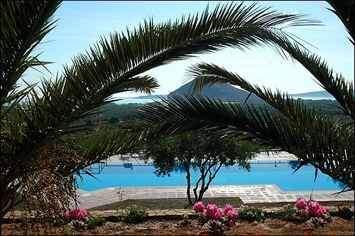 Olive Garden Apartments