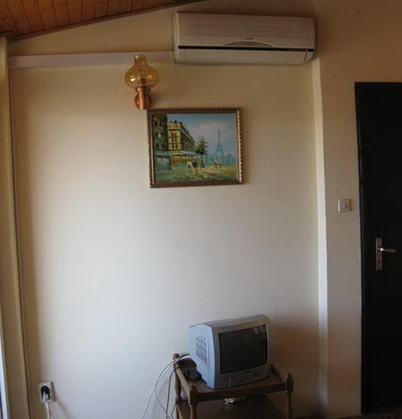 Koral