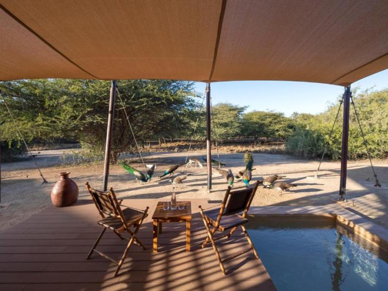 Anantara Sir Bani Yas Island Al Sahel Villa Resort