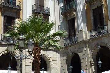 Отель Roma Reial Испания, Барселона, фото 11