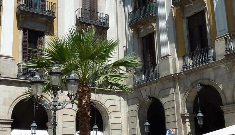 Roma Reial