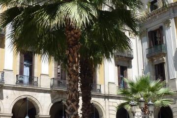 Отель Roma Reial Испания, Барселона, фото 12