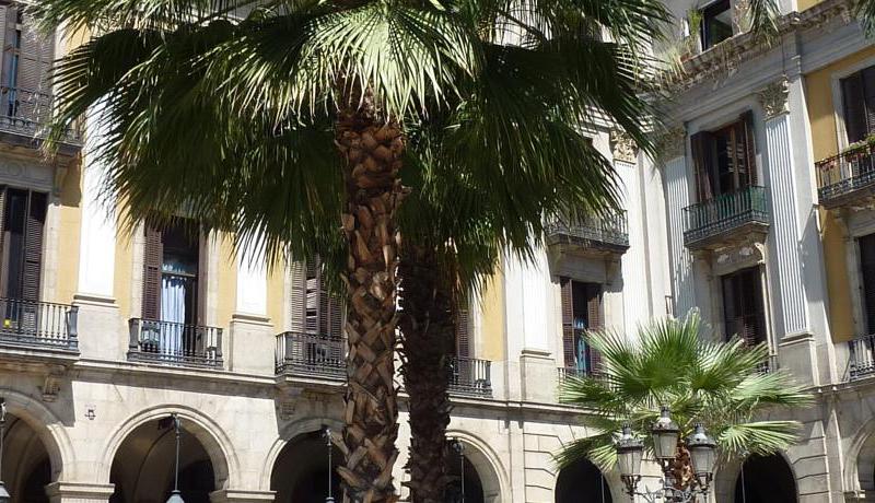 Roma Reial