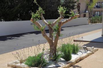 Отель Nelia Gardens Кипр, Айя-Напа, фото 13