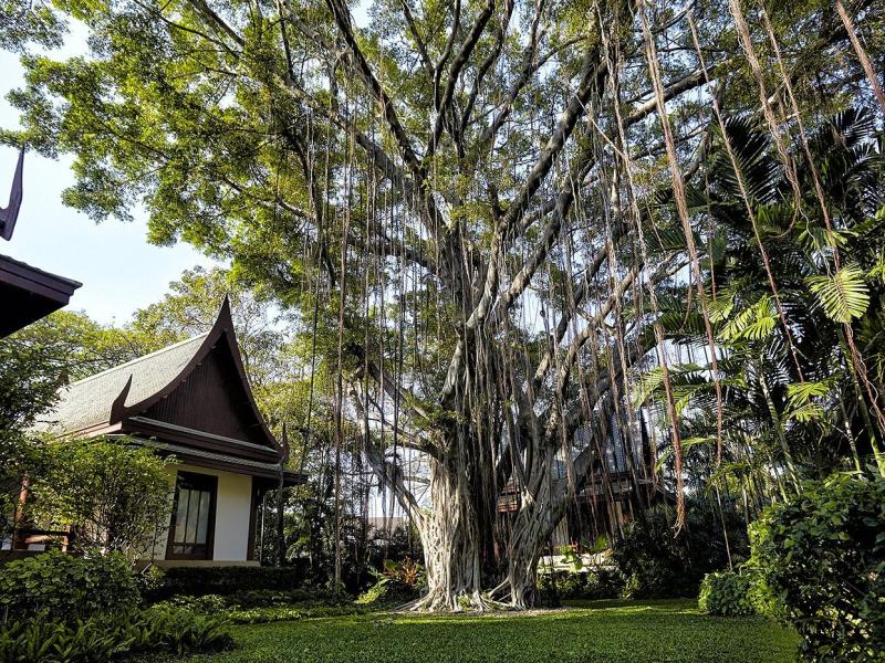 Chiva-Som International Health Resort