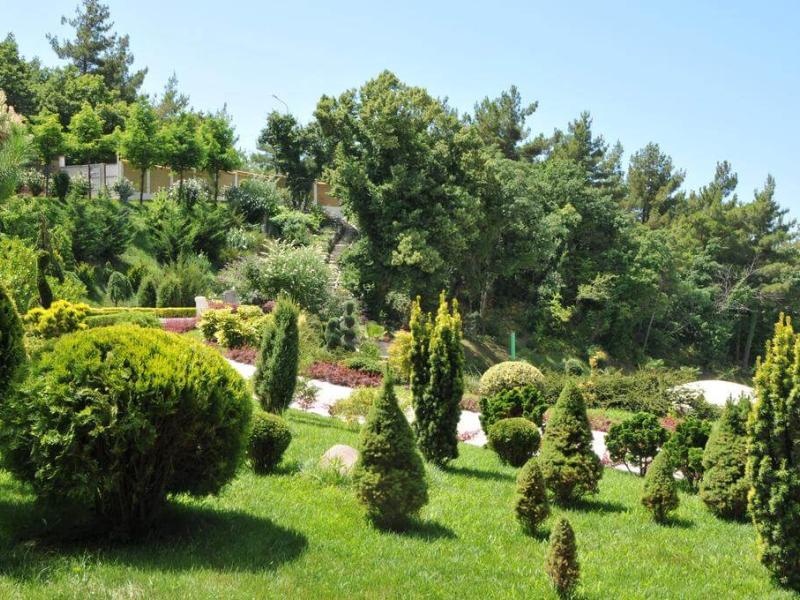 Морской клуб (Дивноморское)