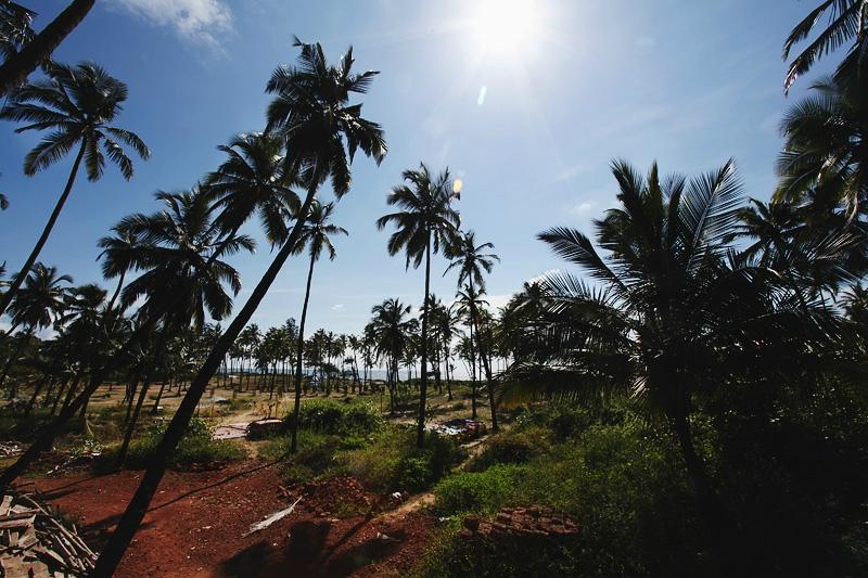 God's Gift Guesthouse (Arambol)