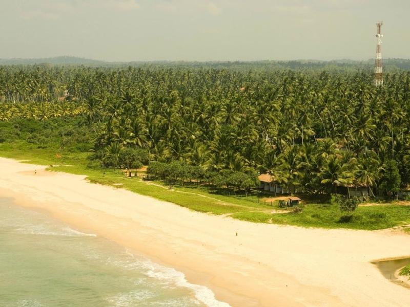 Lotus Villa