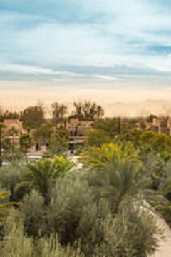 Отель Four Seasons Resort Marrakech Марокко, Марракеш, фото 42