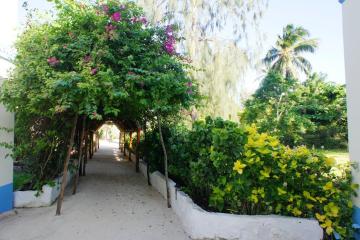 Отель Smiles Beach Hotel Танзания, Нунгви, фото 5