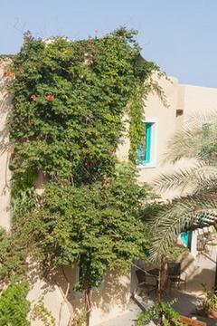 Отель Vasia Sea Retreat Греция, о. Крит-Лассити, фото 5