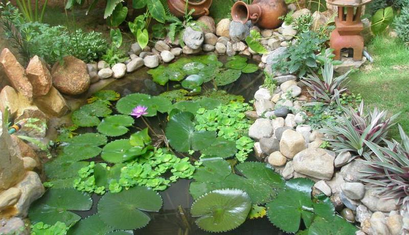 Green Hill Resort and Spa