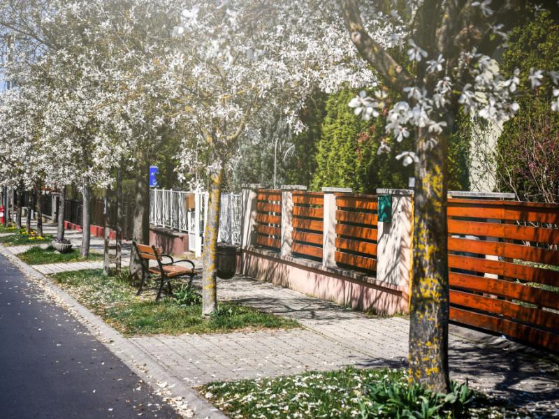 Flora Villa
