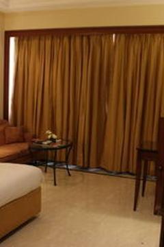 Отель The Hans New Delhi Индия, Дели, фото 15