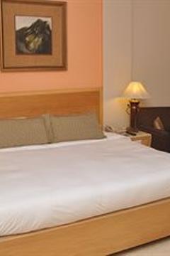 Отель The Hans New Delhi Индия, Дели, фото 16