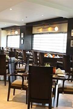 Отель The Hans New Delhi Индия, Дели, фото 7