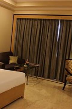 Отель The Hans New Delhi Индия, Дели, фото 9