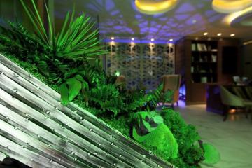 Отель Taba Luxury Suites & Hotel Турция, Бешикташ, фото 28