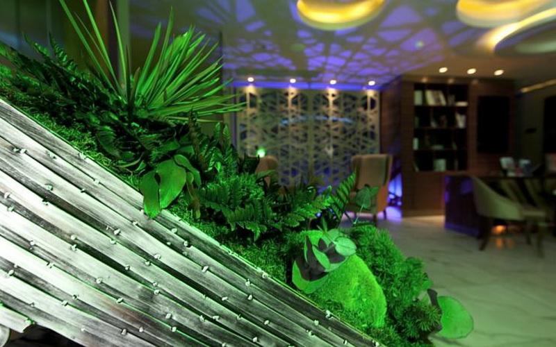 Taba Luxury Suites & Hotel